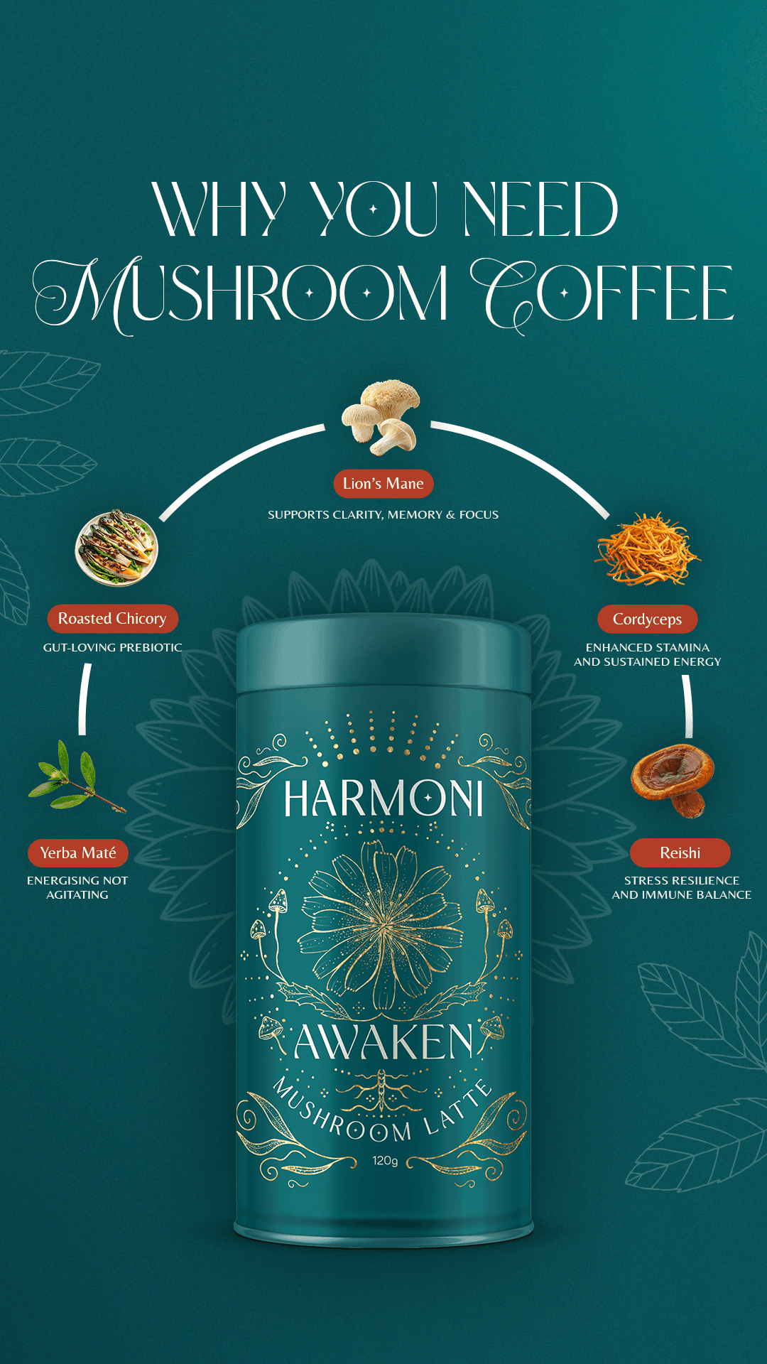 Harmoni Rituals ingredients breakdown creative