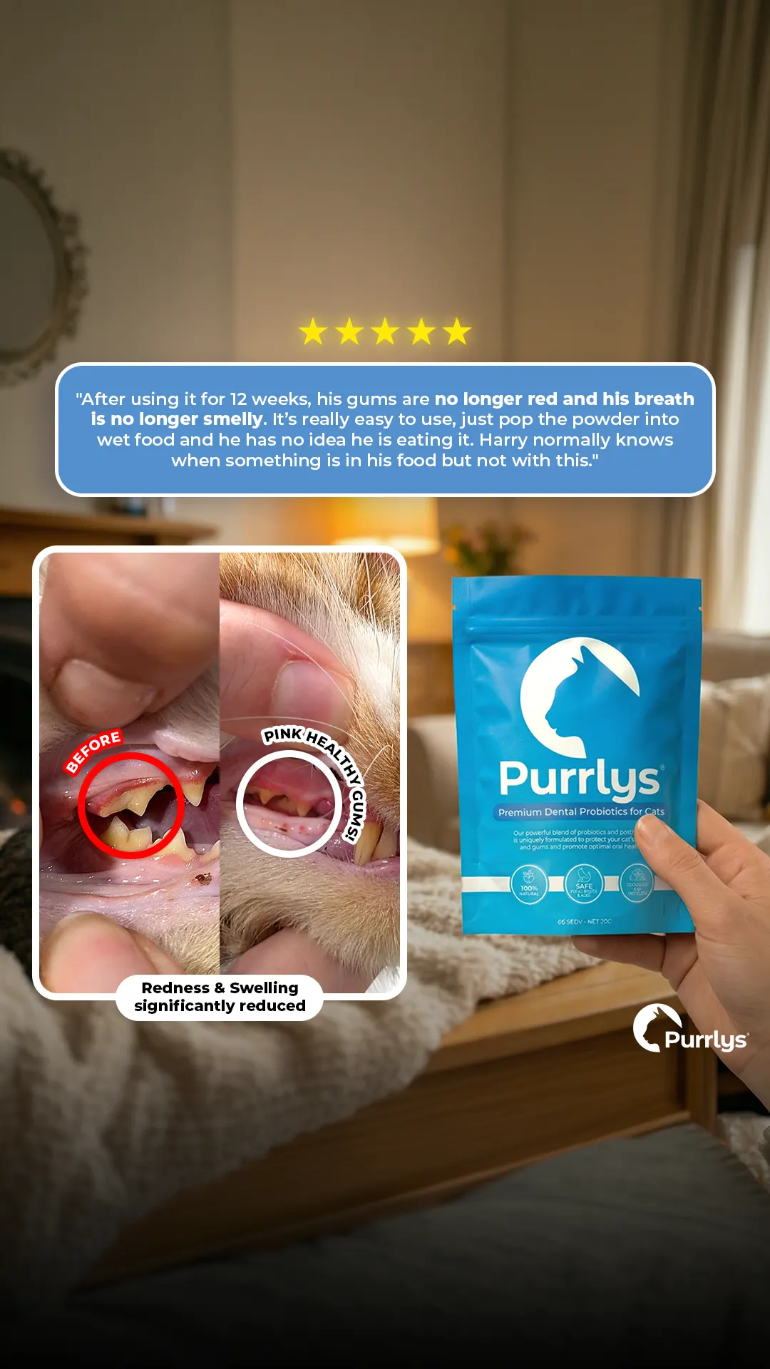 Purrlys — Meta Ad Creative — Ecom Republic