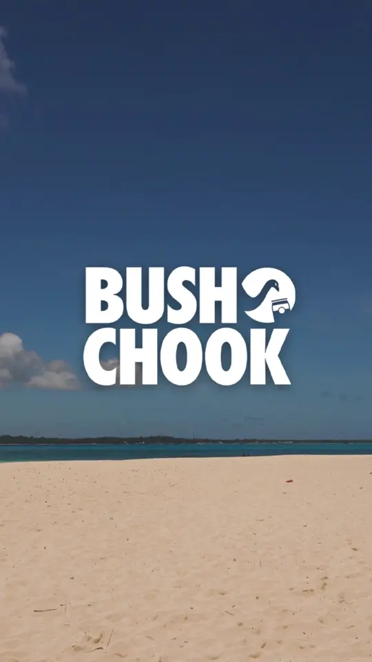 SDF Australia — Google Ad Creative — Ecom Republic