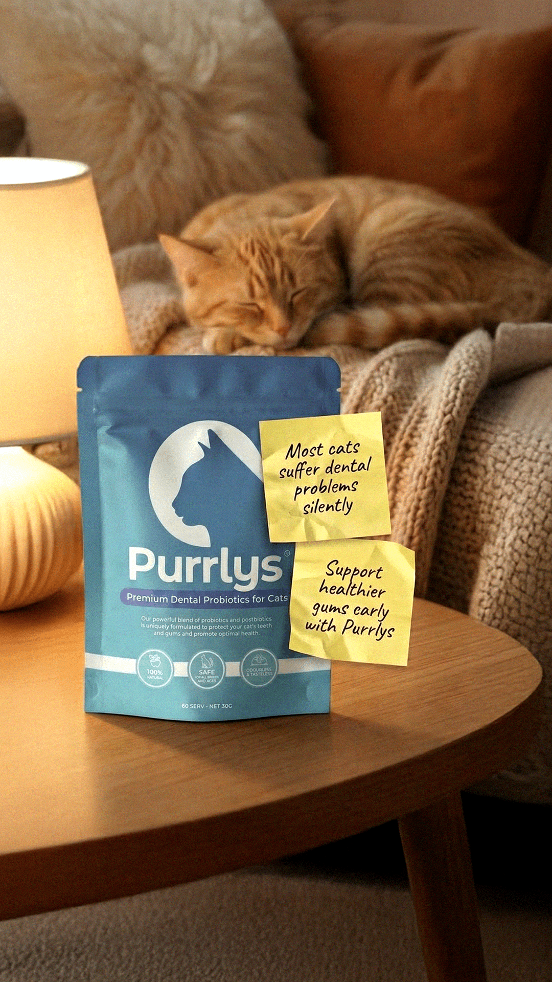 Purrlys® — PUR001-3_Prevention_PA_IMG_StickyNote
