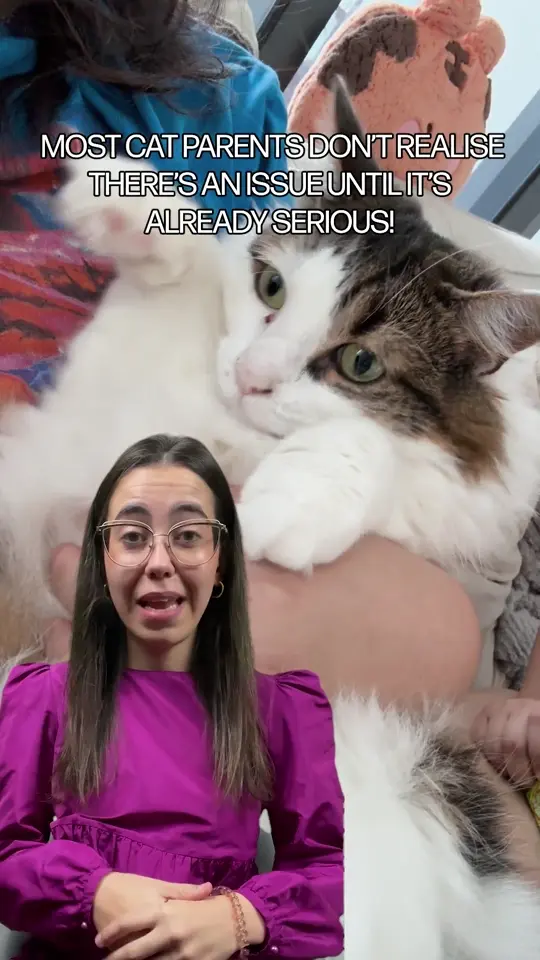 Purrlys — Meta Ad Creative — Ecom Republic