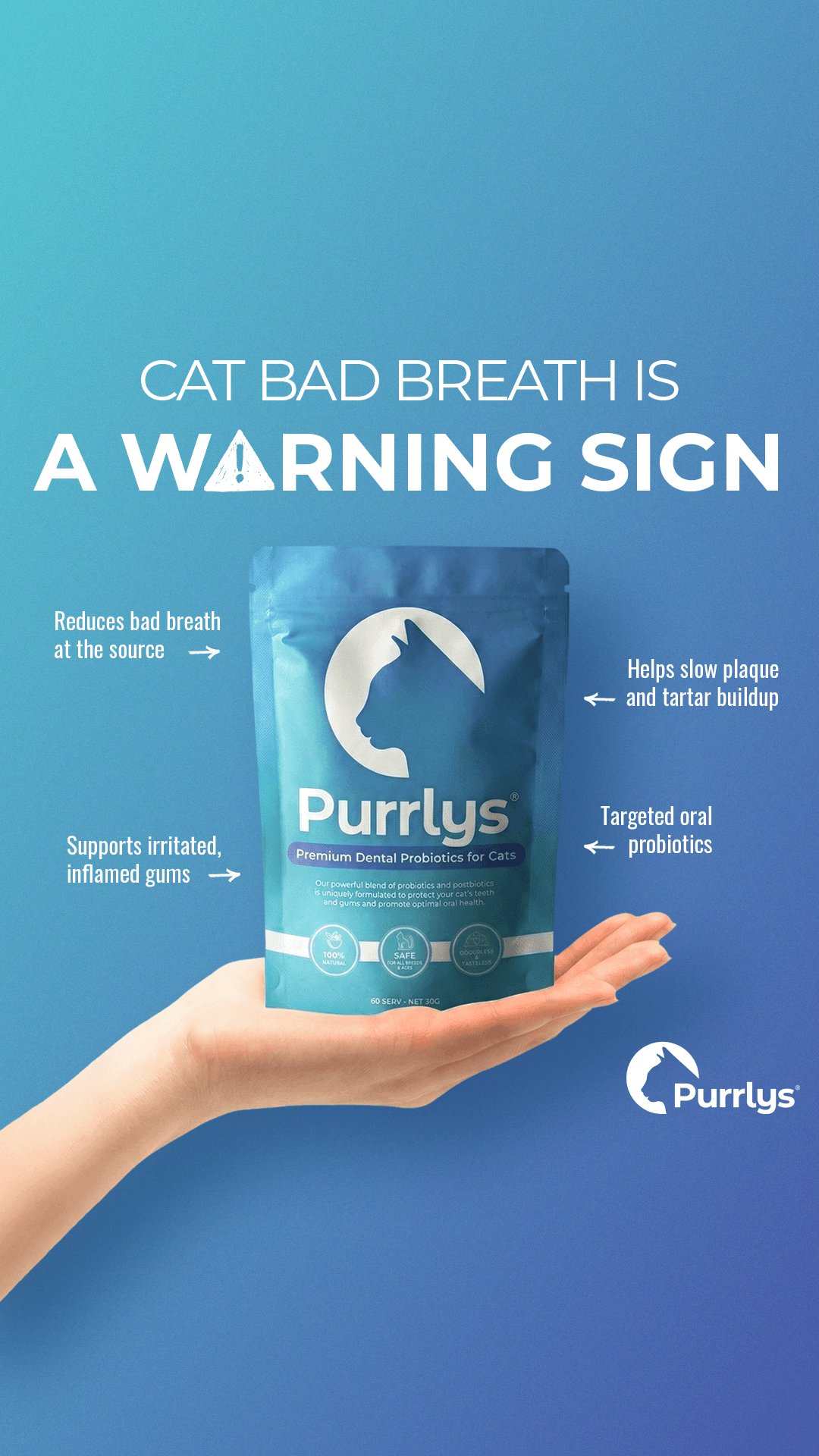 Purrlys® — PUR002-1_CatsWithDentalDisease_PA_IMG1_HookCallout